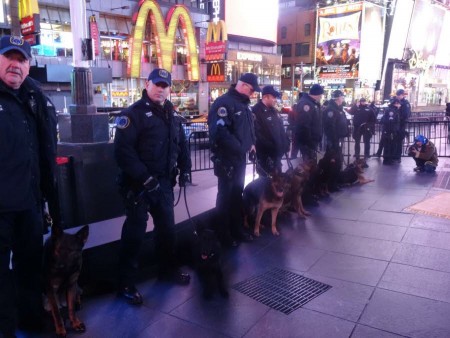 les-chiens-de-la-police-canine-de-new-york-ont-reagi-a-la-musique-photo-afp