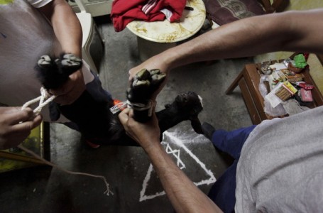 556457fec4618803088b45d1