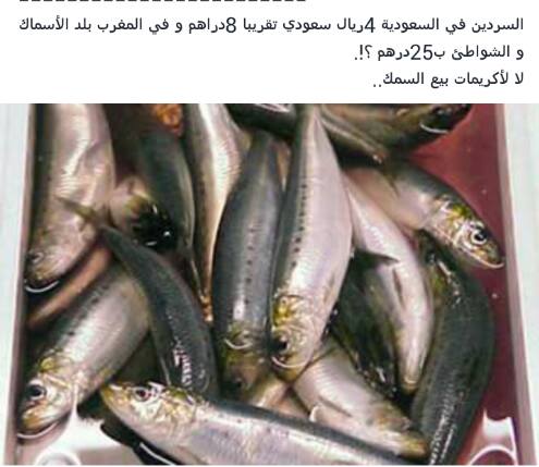 تعليقات الفيسبوكيين