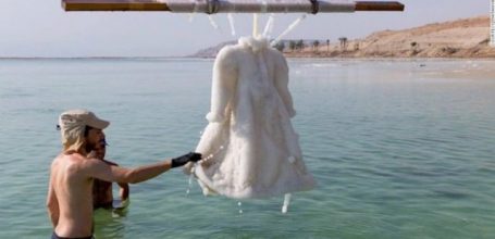 1474530537-177455-inarticlelarge-1-jpg-88555884850174631