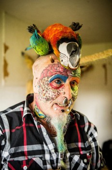 Ted Richards, 56, from Hartcliffe in Bristol, who has had his ears taken off so he can look more like his Parrot. August 16 2015.A man who had his face and eyeballs tattooed to look like his pet parrots has gone a step further - by cutting off his EARS. Bonkers Ted Richards, 56, is obsessed by pets Ellie, Teaka, Timneh, Jake and Bubi and has his face tattooed with colourful feathers. But the animal nut - who has 110 tattoos, 50 piercings and a split tongue - has now had both his ears removed by a surgeon in a six hour operation. Eccentric Ted has given his severed ears to a friend who "will appreciate them" and is now planning to find a surgeon prepared to turn his nose into a BEAK. Photo by | 520093_004 Bristol Royaume Uni United Kingdom