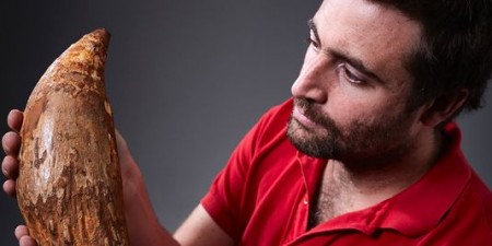 4906821_3_06a4_le-mammifere-aurait-mesure-jusqu-a-18_77e6525307d33987a02ae3c5bfe751f5