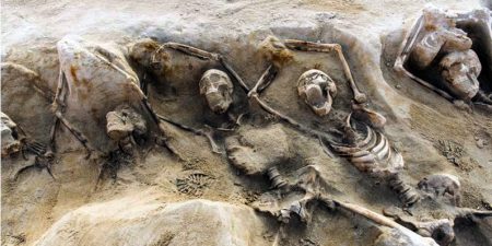 This undated handout photo released by the Greek Ministry of Culture on April 14, 2016 shows the remains of men buried in a mass grave, with all but one having their hands tied with iron chains, found in an area of the Falirikon Delta in South Athens. The Greek Ministry of Culture announced on April 14, 2016 the discovery near Athens of two mass graves containing the remains of 80 men, who could be the executed supporters of Cylon, an Athenian noble who attempted a coup in Athens in the Archaic period. Digging in the area for the new National Opera and the National Library in the premises of the old Horse Racing field in Faliron brought to light the "polyandreio", a mass grave for men who died and were buried at the same time. / AFP PHOTO / GREEK CULTURE MINISTRY / ARIS MESSINIS / RESTRICTED TO EDITORIAL USE - MANDATORY CREDIT "AFP PHOTO / GREEK CULTURE MINISTRY" - NO MARKETING NO ADVERTISING CAMPAIGNS - DISTRIBUTED AS A SERVICE TO CLIENTS