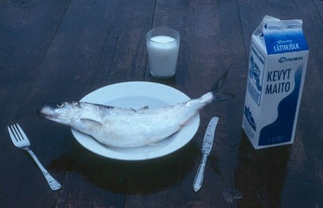 fish+and+milk+881