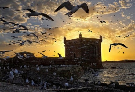 385720_422792817768668_759864574_n-605x410