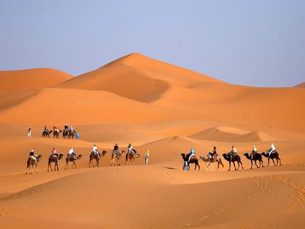 صحراء زاكورة