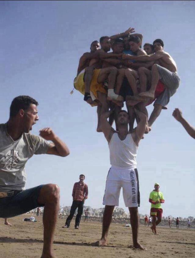 1622167_442947795837024_46293452_n