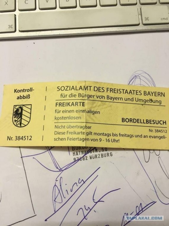 free-377951690170297818