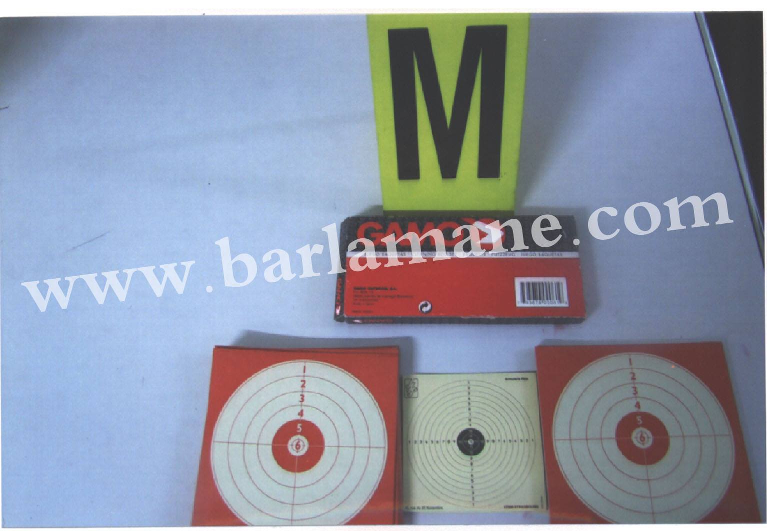 12422445_799850236787157_333842368_o