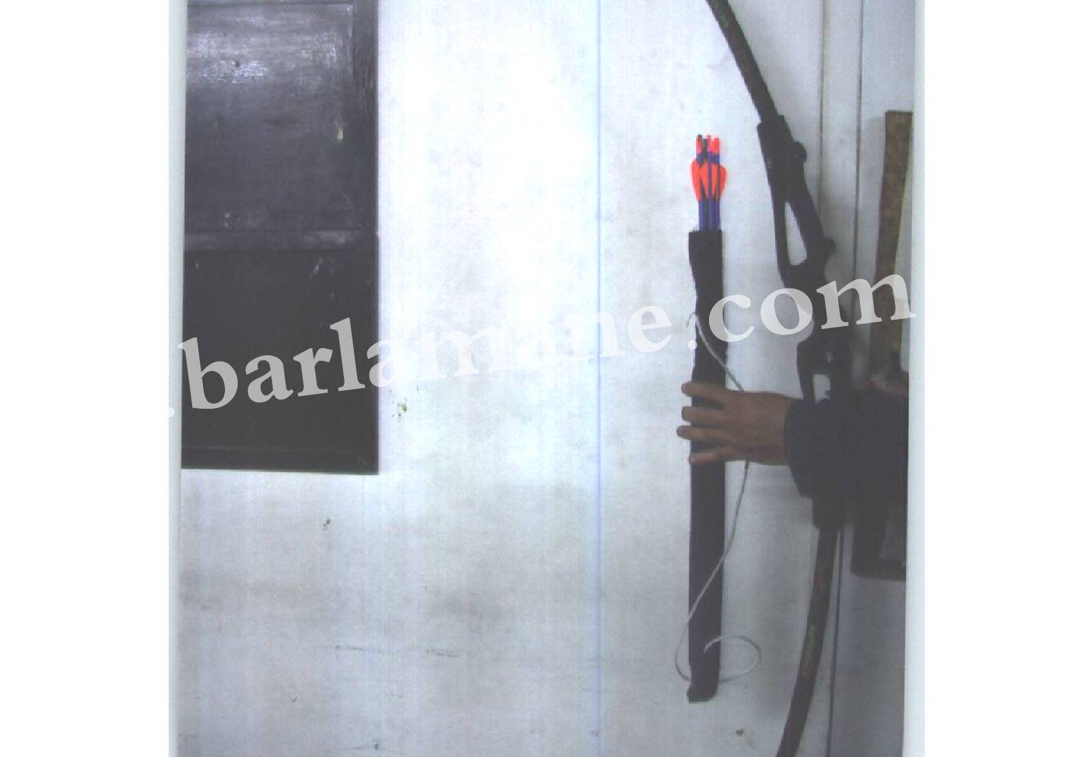 12823136_799850153453832_128193354_o