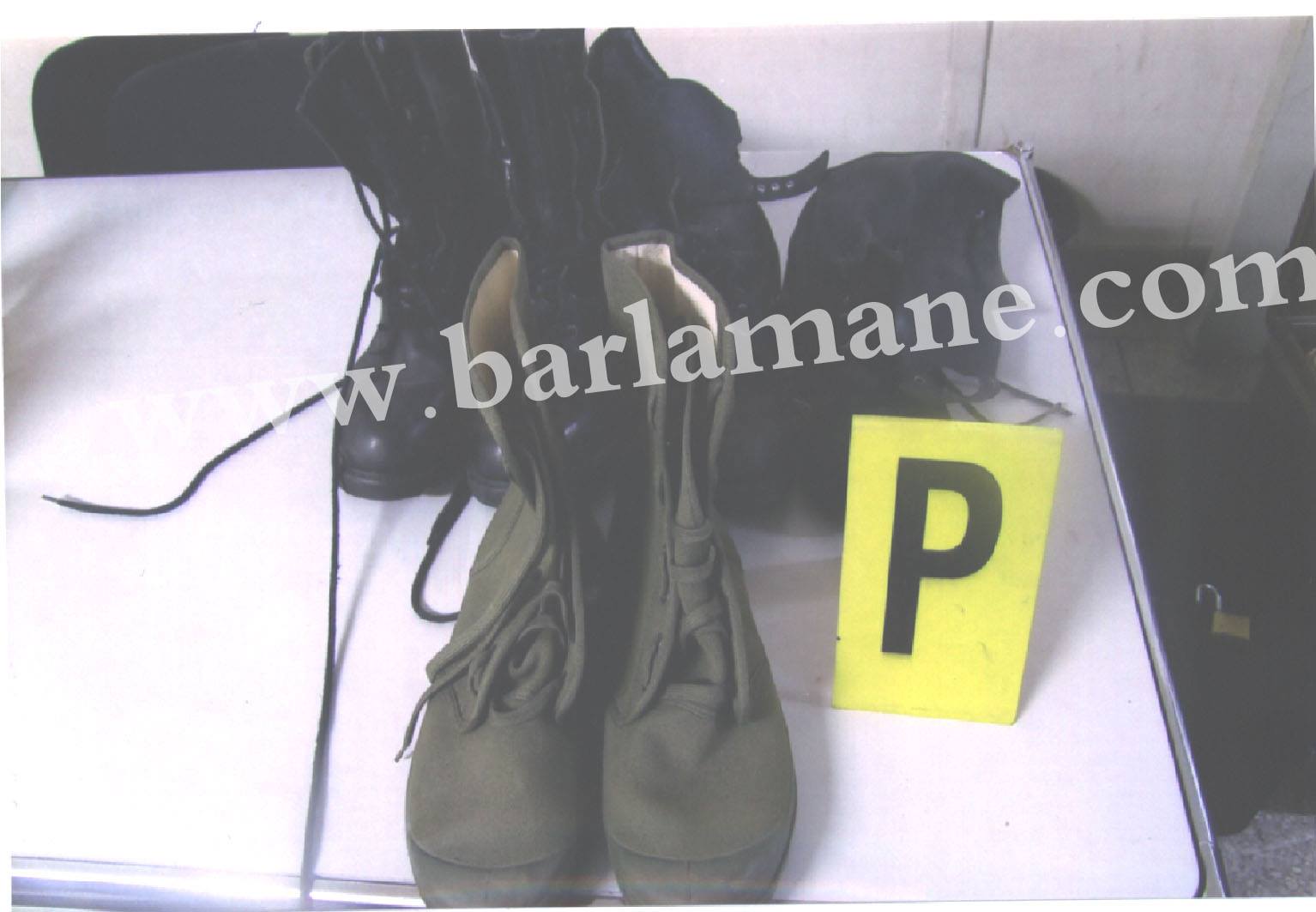 12837604_799850233453824_492240941_o