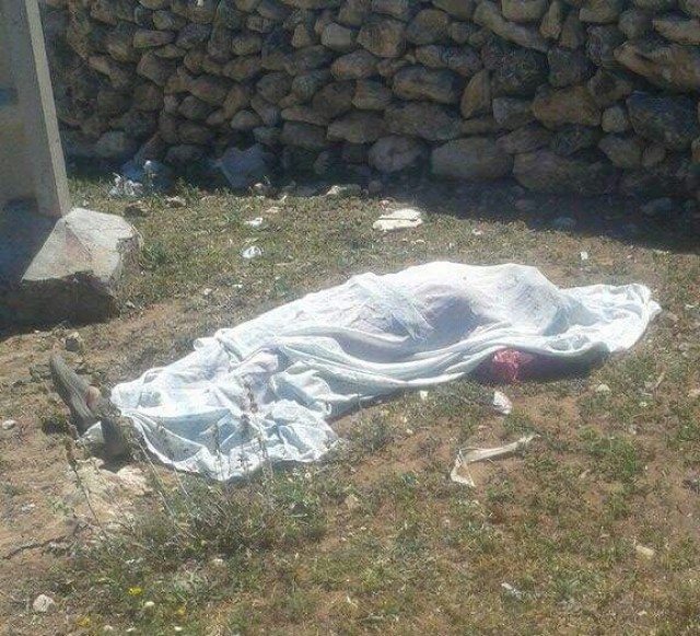 13084114_863812317077538_82559875_n