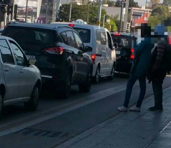 13281920_879599172165519_1836551210_n