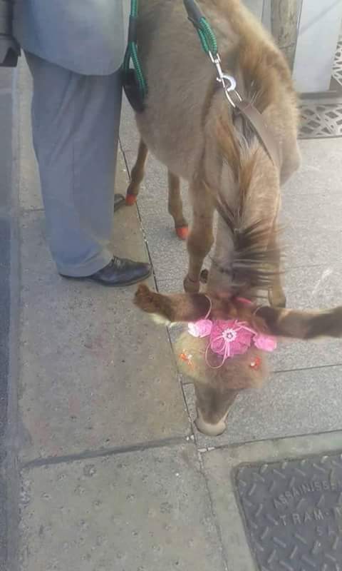 FILE-20160810-004988XH6XZDVL3Y