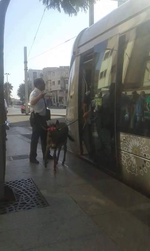 FILE-20160810-0049XZQ9H9534Q9G