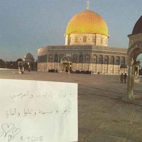 1473147099.663117.inarticleLarge