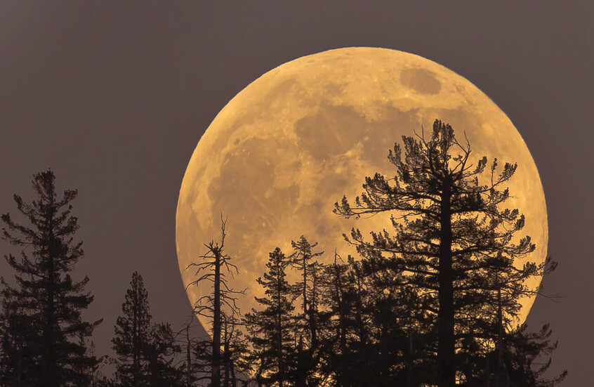 القمر من سماهِ العالية يشارك المغاربة احتفالات الذكرى الخمسين للمسيرة الخضراء